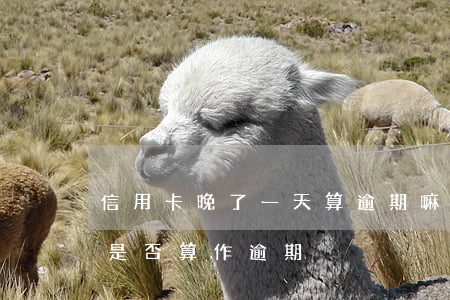 信用卡晚了一天算逾期嘛，信用卡晚還款一天是否算作逾期？